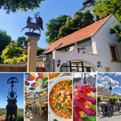 Szentendrei GasztrOrgia Szentendrei GasztrOrgia